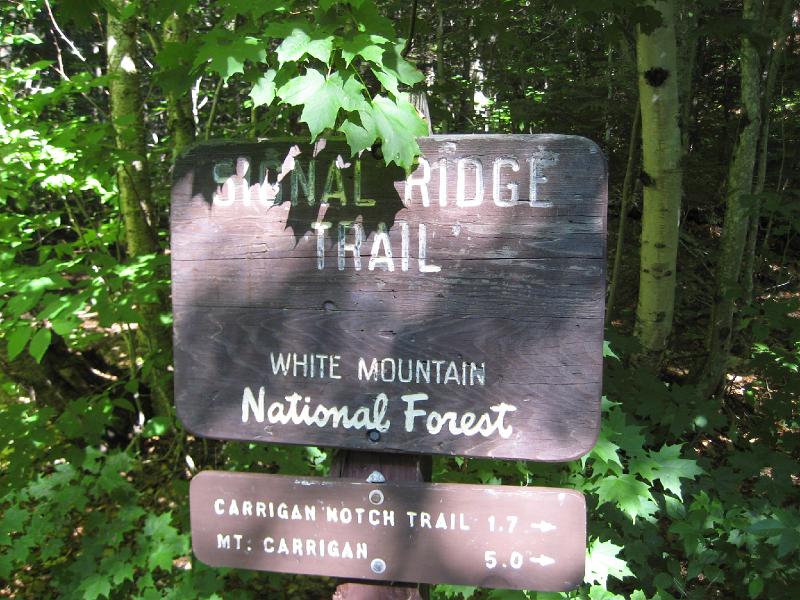 PemiTraverse (2).JPG - What a better way to celebrate the 4th of July than with a hike across the wilderness? This hike started in Carrigan Notch and ended over 16 miles away in Lincoln Woods.